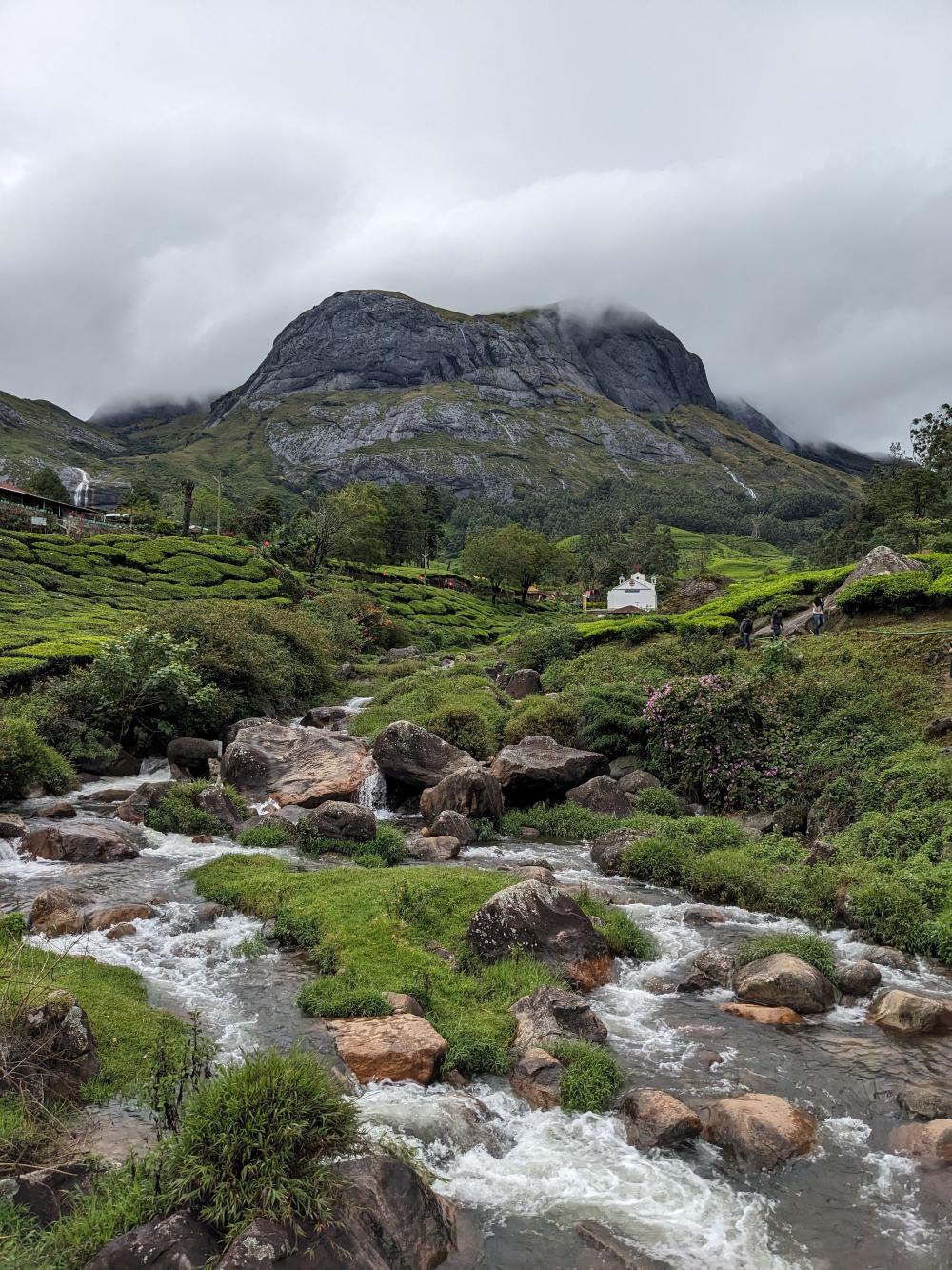 Munnar-pond.jpg